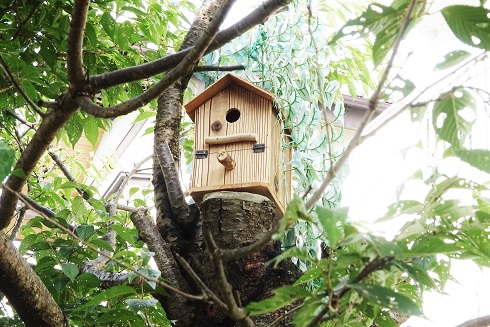 new birdie house.jpg